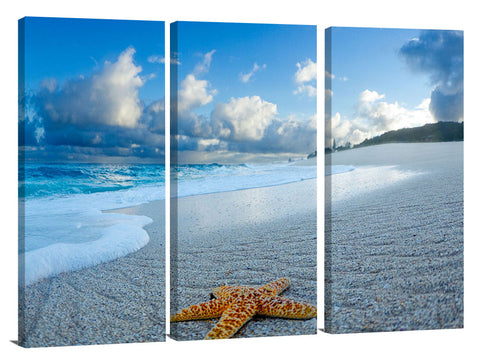 A starfish on the beach at sunrise.